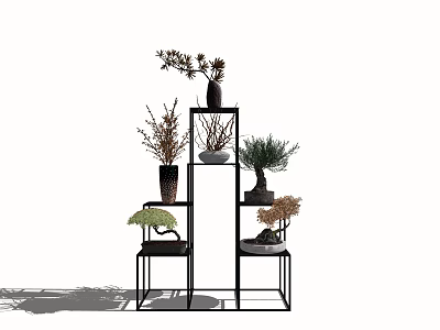 Modern Indoor Bonsai Plants Display On Multi Tiered Black Metal Shelf 3d model