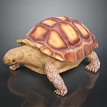Turtle Cartoon Turtle Snapping Turtle Chickbill Turtle Reptile Cold Blooded Animal Reptile Class 3d model