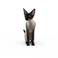 Siamese Cat Sitting Position 3D Model With Detailed Fur And Alert Expression 3d model