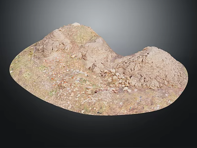 Detailed Sand Terrain Model With Dirt Surface Scattered Stones and Natural Features 3d model