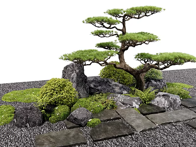 Japanese Style Garden Courtyard With Styled Pine Tree Rocks Green Shrubs And Stone Path 3d model