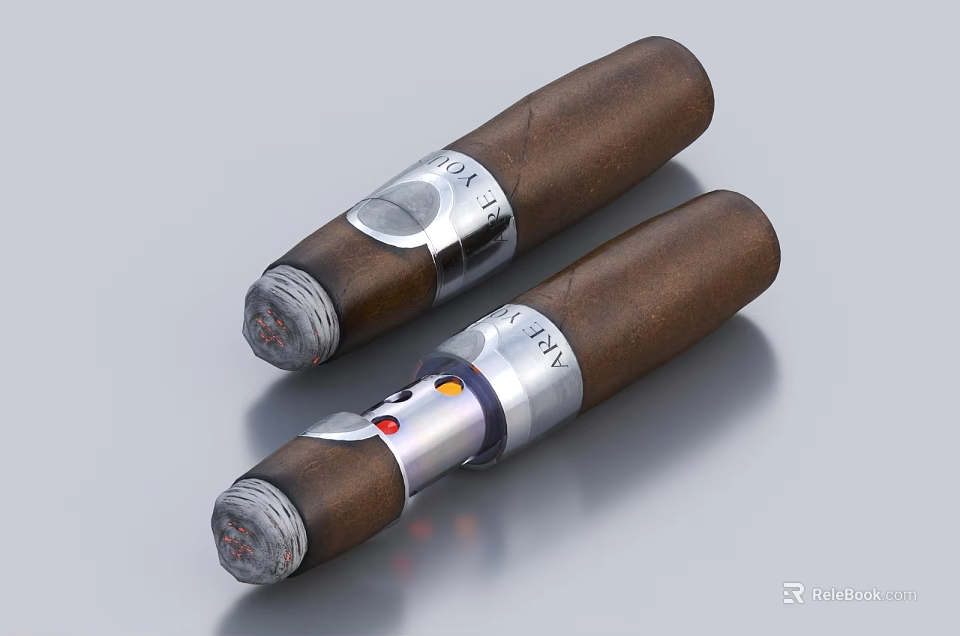 Two Premium Cigars Featuring Silver Bands As Essential Daily Lifestyle Products 3d model 