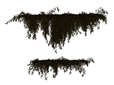 Lush Green Trailing Vines With Hanging Leaves For Natural Decorative Accent 3d model