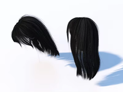 Black Wigs Daily Use Accessory Featuring Natural Straight Hair And Bangs Style 3d model