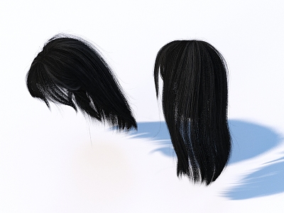 Hair Wig Hair Set 3d model