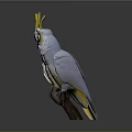 White Cockatoo With Yellow Crest Standing On Brown Branch Against Gray Background