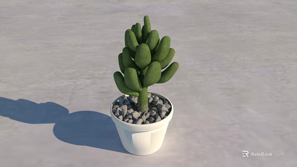 Green Cactus Bonsai Potted Plant in White Pot with Small Stones on Light Surface 3d model 
