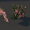 Lush Flowering Vines With Pink And Red Blooming Flowers In Vibrant Bloom