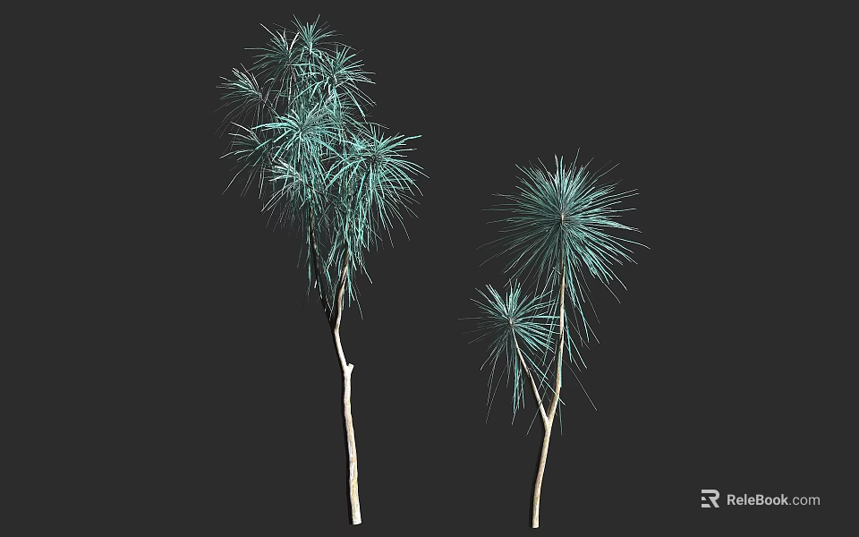 Two Arbor Trees With Slender Trunks And Feathery Green Foliage Against Dark Background 3d model 