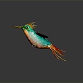 Modern Bird Red-throated Hummingbird Hummingbird Birds 3d model