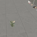 Modern Grey Floor Tiles In Indoor Entrance With Small Flower Vase And Shoes
