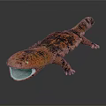 Salamander With Orange And Black Coloration Lying On Gray Surface With Open Mouth
