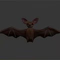 Modern Bat Cartoon Bat Animation Bat Animation Bat 3d model