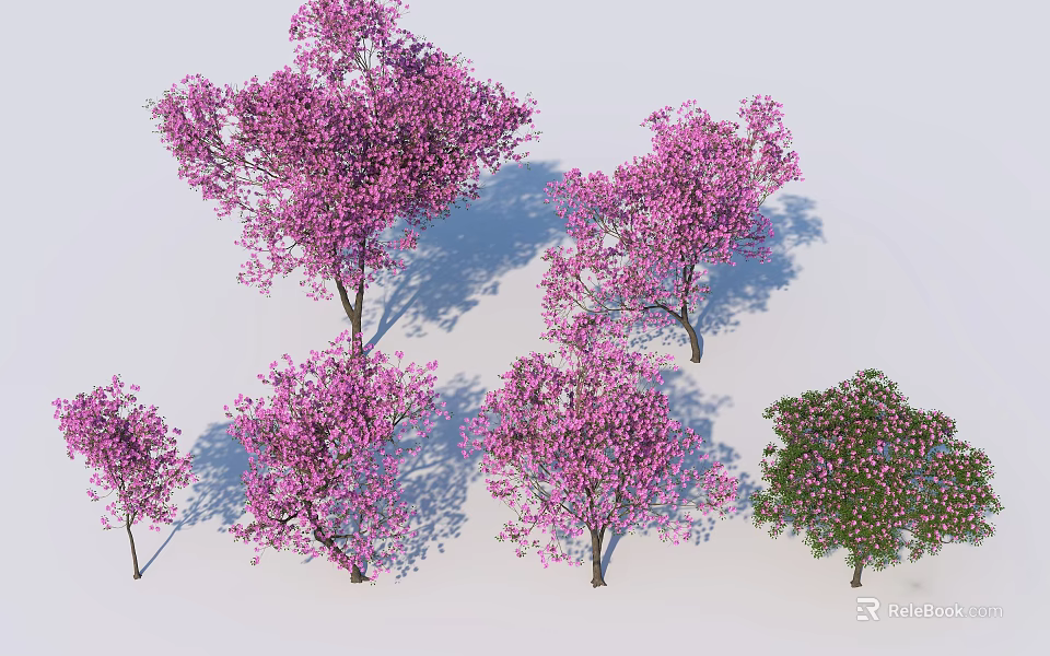 Beautiful Flowering Trees With Pink Blossoms And Shadow Effects In Landscape 3d model 