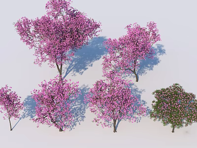 Beautiful Flowering Trees With Pink Blossoms And Shadow Effects In Landscape 3d model