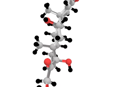 DNA Molecular Structure 3D Model With Red And Black Atoms On White Background 3d model