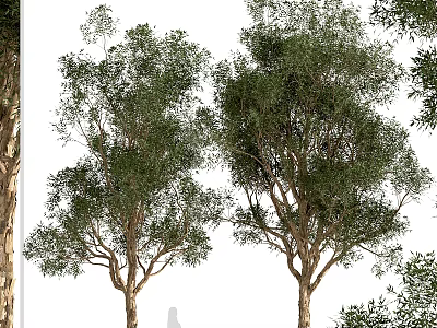 Ornament Decoration Set with Artificial Green Trees and Natural Looking Foliage for Home Decor 3d model