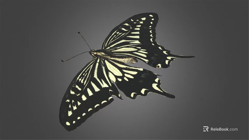 Black and White Butterfly With Patterned Wings Flying On Gray Background 3d model