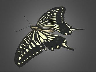 Modern Butterfly Swallowtail Butterfly 3d model