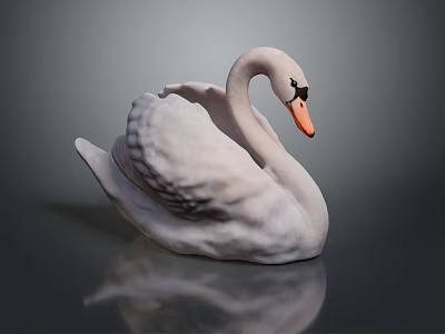 Swan bird bird bird bird wild animal game animal cartoon character game character 3d model