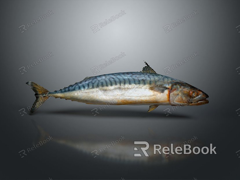 Catfish Carp Sturgeon Bass Freshwater Fish Various Carp Grass Carp Crucian Carp model