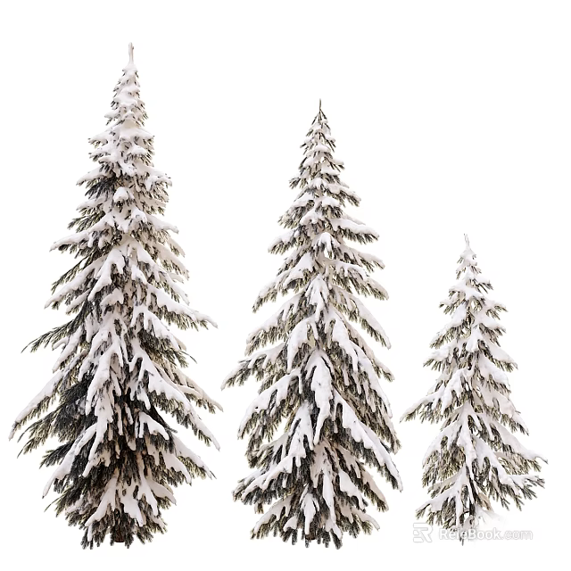 Three Snow Covered Evergreen Trees With Fluffy Snow in Winter 3d model