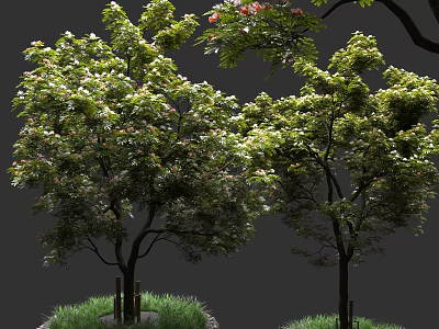 Lush Green Arbor With Healthy Trunks Fresh Leaves And Grass Surroundings 3d model