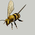 Modern Bees 3d model