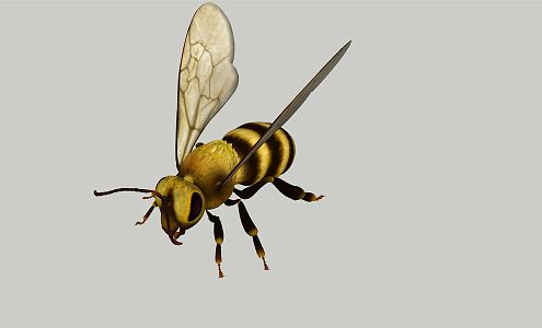 Modern Bees 3d model