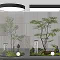 Modern Indoor Landscape Featuring Glass Enclosures Green Trees Ferns Stones Moss And Round Lights