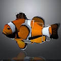 3D Designed Clownfish Sculpture With Orange White Black Stripes And Transparent Frame Support