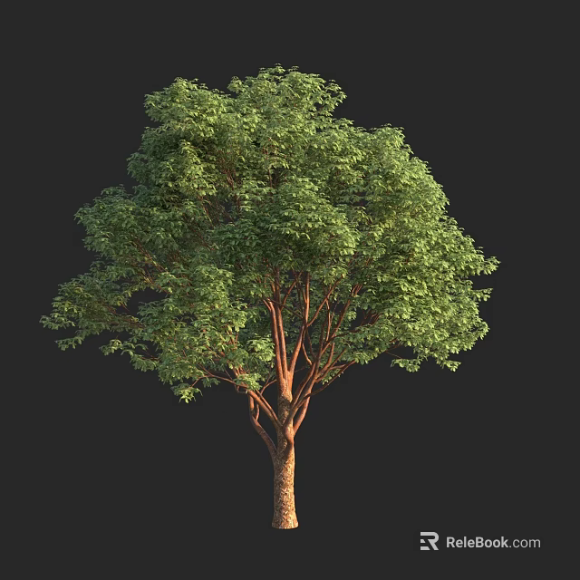 Lush Green Arbor with Dense Foliage and Strong Brown Trunk 3d model 