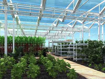 Garden Landscape In Greenhouse With Glass Roof White Frame Green Plants And Wooden Walkway 3d model