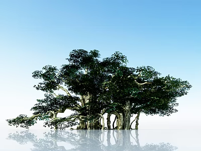Lush Green Arbor With Thick Trunks And Foliage Reflecting On Water Under Blue Sky 3d model