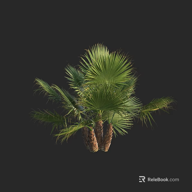 Lush Tropical Palm Tree With Green Fronds And Brown Trunks 3d model 