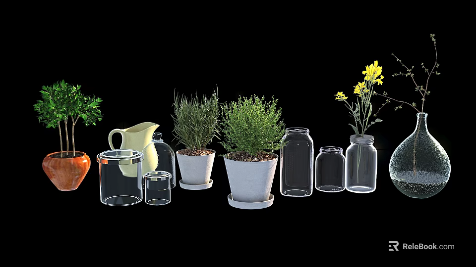 Decorative Bonsai Potted Plants with Herbs and Yellow Flowers in Glass Jars and Ceramic Pots 3d model 