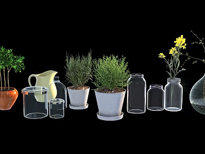 Decorative Bonsai Potted Plants with Herbs and Yellow Flowers in Glass Jars and Ceramic Pots 3d model