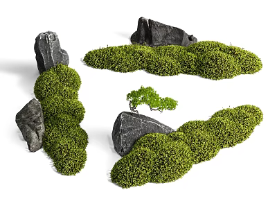 Microlandscape Design With Lush Moss Covered Rocks And Small Green Plants 3d model