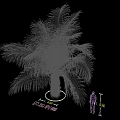 Arbor Palm Tree with 5 Meters Height and 150cm Trunk Diameter on Square Paved Ground
