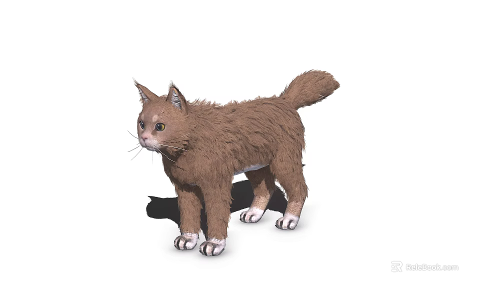 Fluffy Brown Cat 3D Model With White Paws Green Eyes Standing On White Background 3d model 