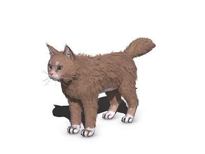 Fluffy Brown Cat 3D Model With White Paws Green Eyes Standing On White Background 3d model