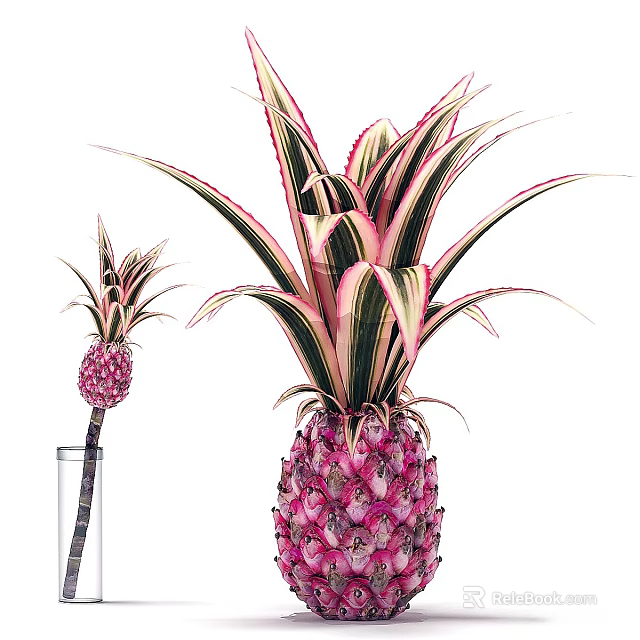 Vibrant Pink Pineapple Plant With Striped Leaves And Miniature Fruit In Glass Container 3d model 