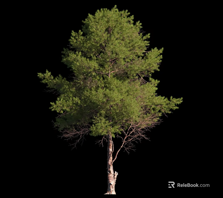 Lush Green Tree With Sturdy Trunk And Dense Foliage In Natural Outdoor Setting 3d model 