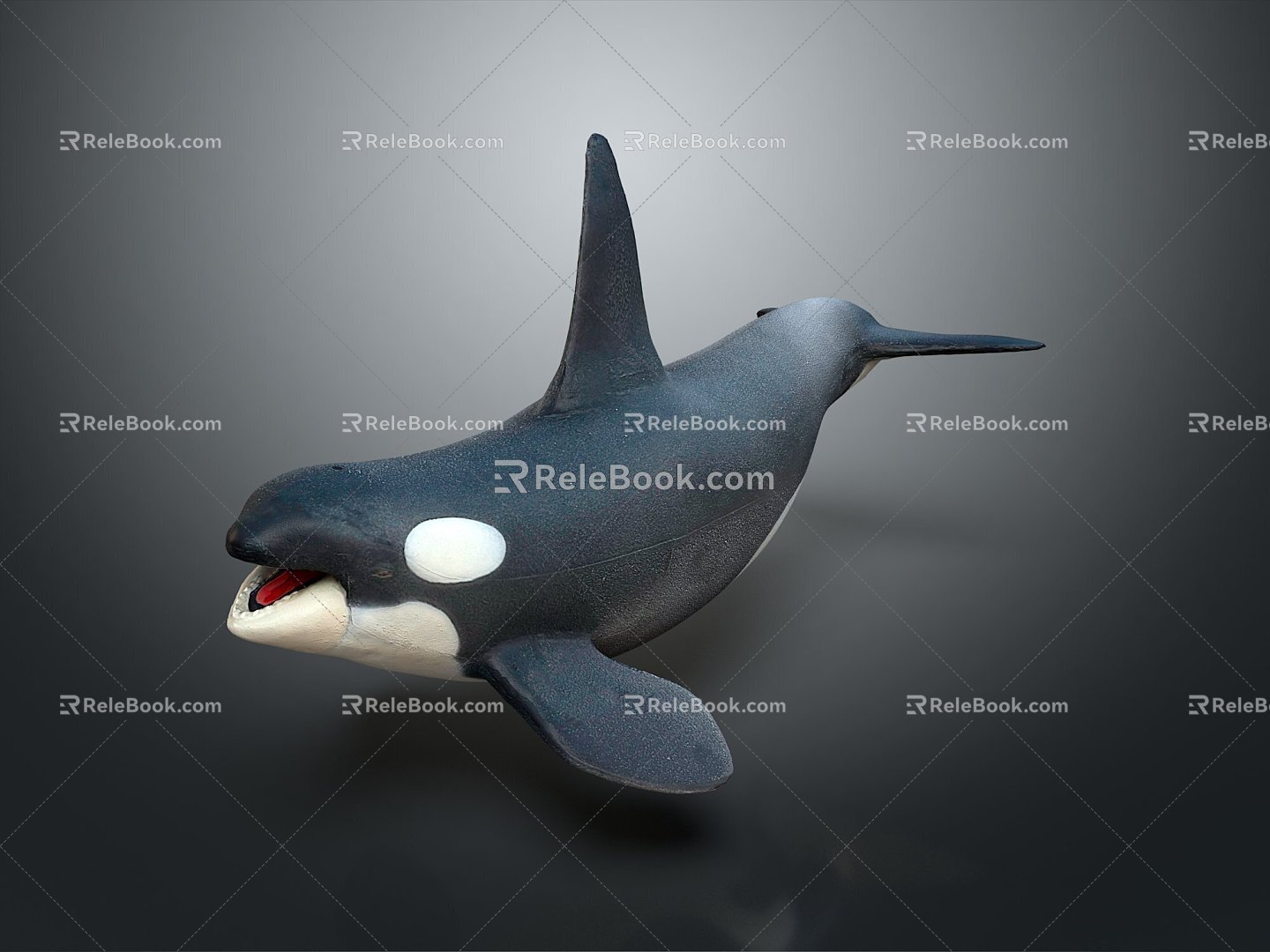 Modern whale cartoon whale killer whale mammal 3d model