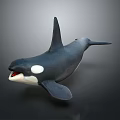 Realistic Black And White Orca Marine Animal With Open Mouth And Dorsal Fin