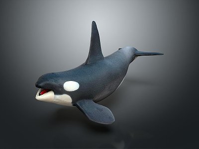 Modern whale cartoon whale killer whale mammal 3d model