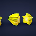Fresh Yellow Star Fruit Sliced Into Star Shaped Sections On Dark Background 3d model