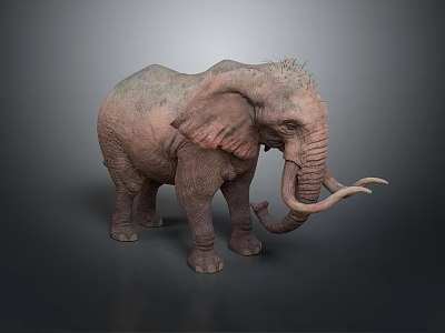 Realistic Elephant With Long Tusks Large Ears And Rough Skin On Dark Background 3d model