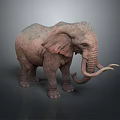 Realistic Elephant With Long Tusks Large Ears And Rough Skin On Dark Background