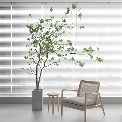 Modern Potted Plant 3d model Modern Potted Plant 3d model